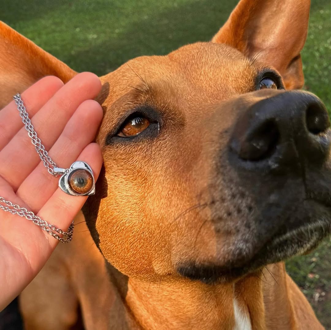 Petory™ Kişiye Özel Evcil Hayvan Kolyesi