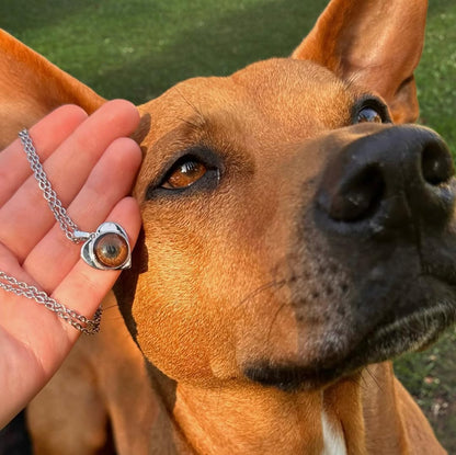 Petory™ Kişiye Özel Evcil Hayvan Kolyesi