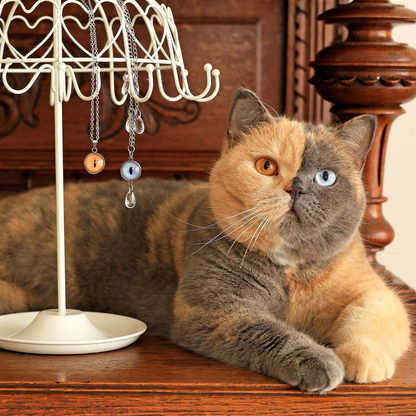 Petory™ Kişiye Özel Evcil Hayvan Kolyesi