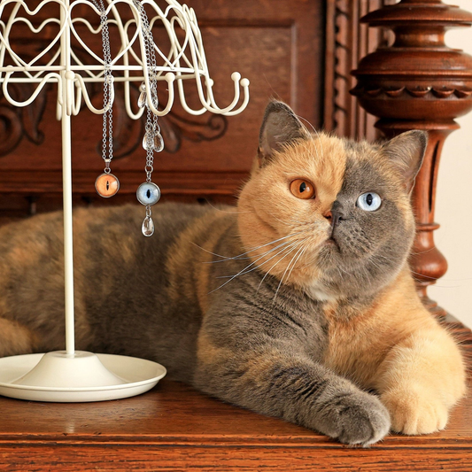 Petory™ Kişiye Özel Evcil Hayvan Kolyesi